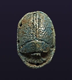 scarab